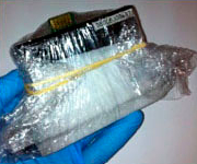 Wrap in Saran Wrap and appropriate solution if applicable